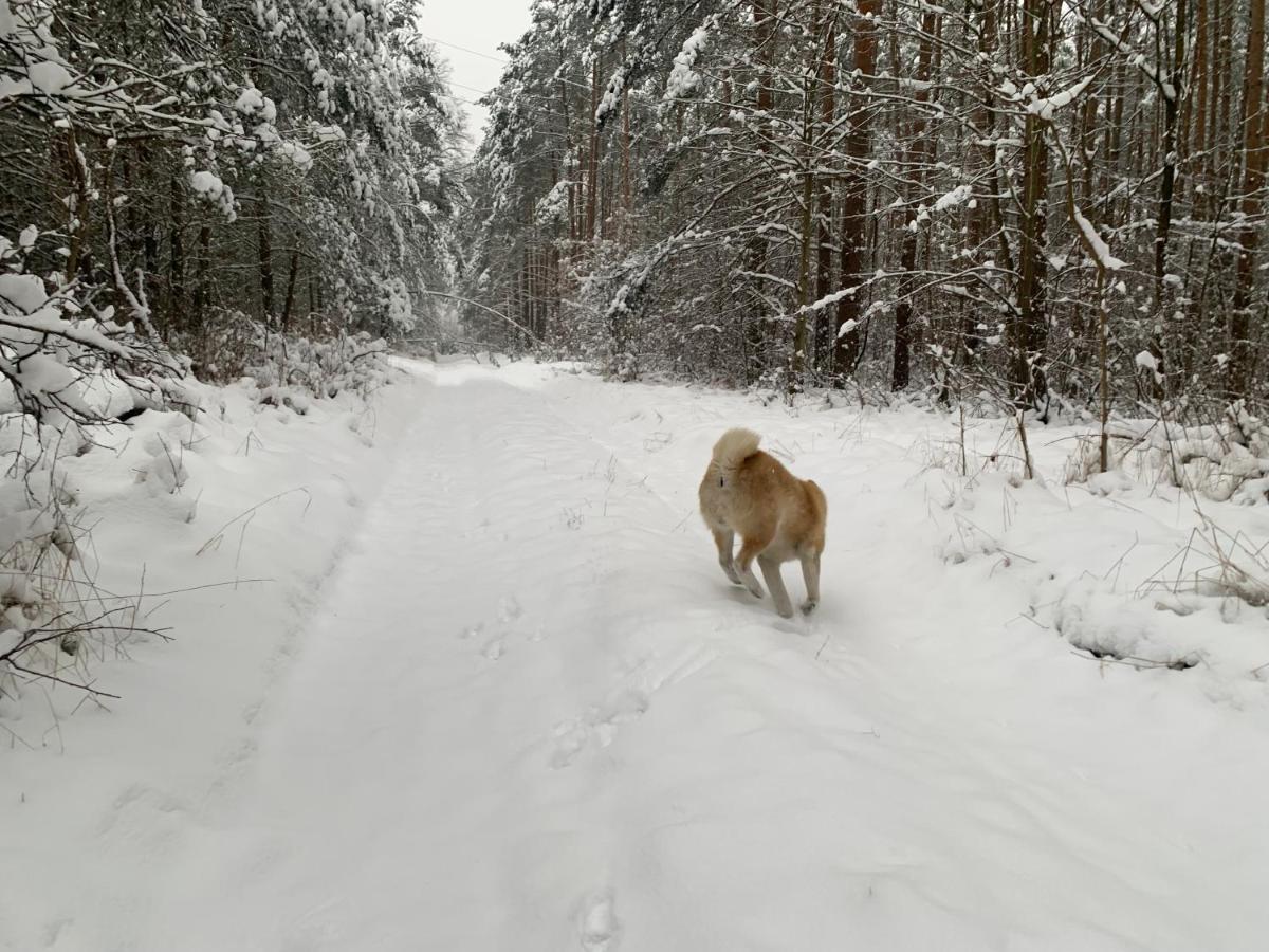 Agroturystyka Gesiniec Stare Osieczno Buitenkant foto