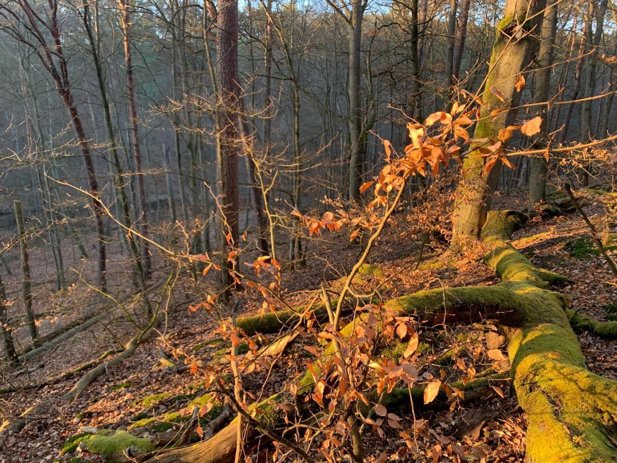 Agroturystyka Gesiniec Stare Osieczno Buitenkant foto