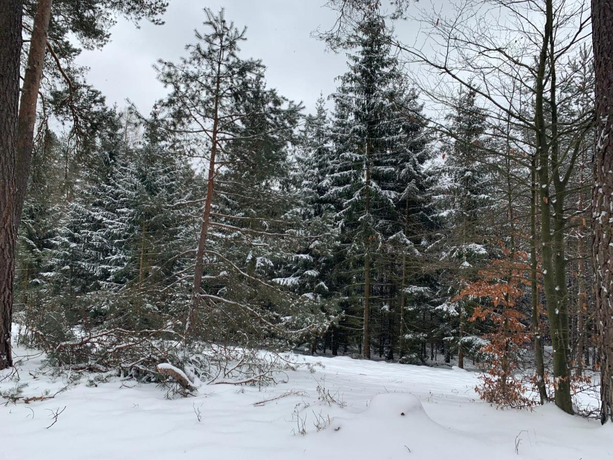 Agroturystyka Gesiniec Stare Osieczno Buitenkant foto