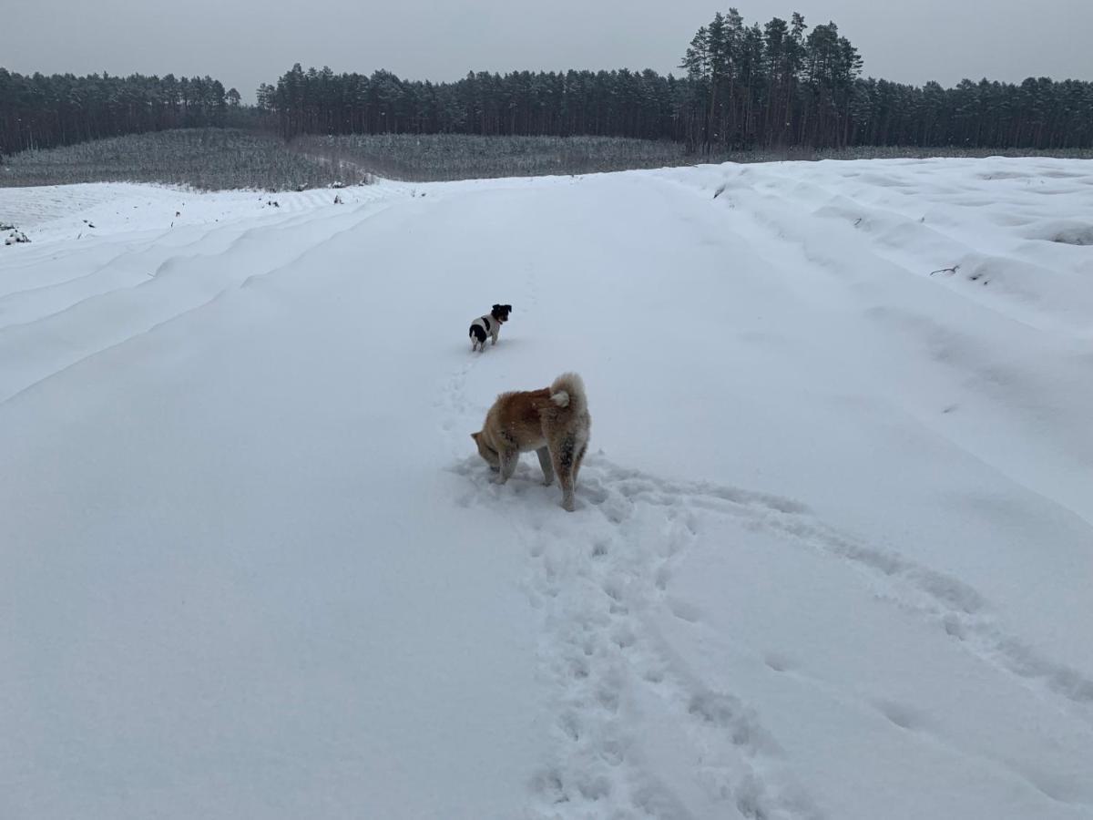 Agroturystyka Gesiniec Stare Osieczno Buitenkant foto