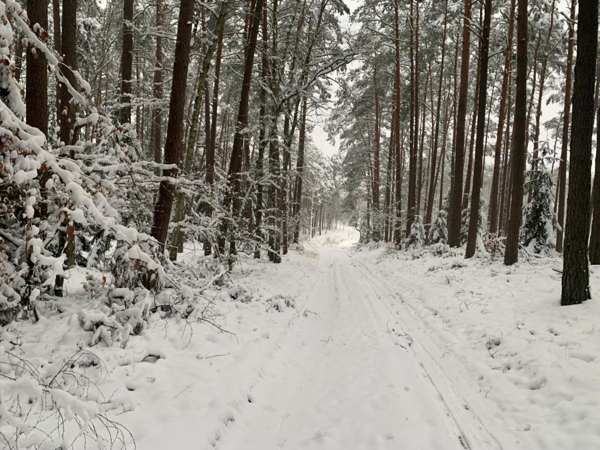 Agroturystyka Gesiniec Stare Osieczno Buitenkant foto