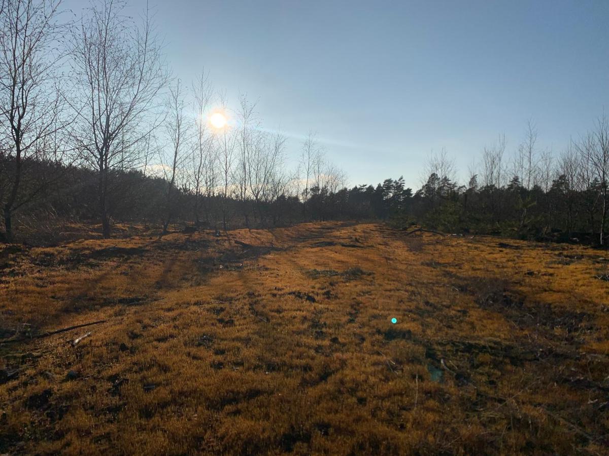 Agroturystyka Gesiniec Stare Osieczno Buitenkant foto