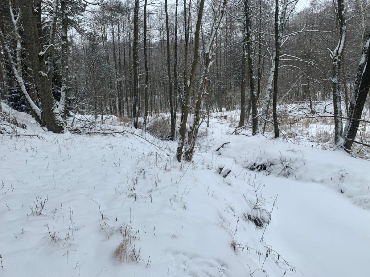 Agroturystyka Gesiniec Stare Osieczno Buitenkant foto