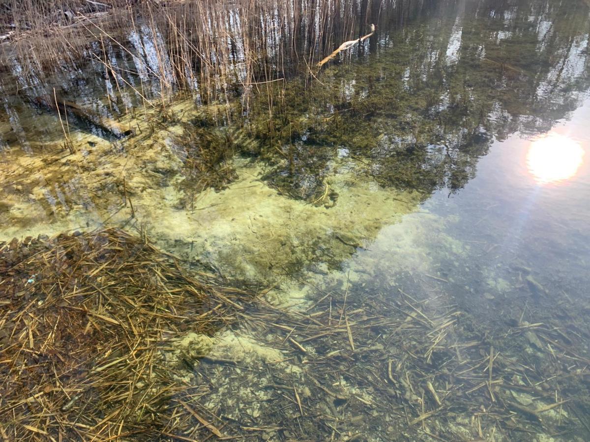 Agroturystyka Gesiniec Stare Osieczno Buitenkant foto