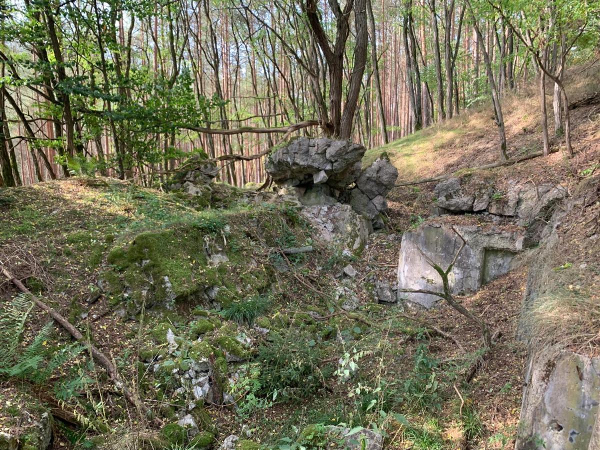 Agroturystyka Gesiniec Stare Osieczno Buitenkant foto