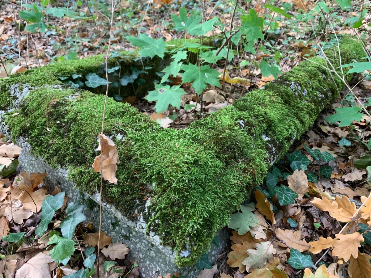 Agroturystyka Gesiniec Stare Osieczno Buitenkant foto