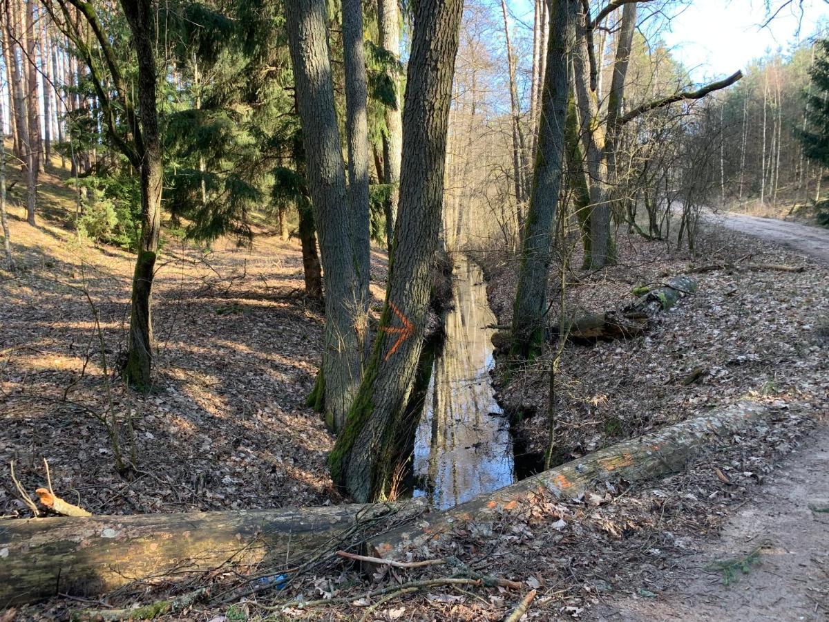 Agroturystyka Gesiniec Stare Osieczno Buitenkant foto