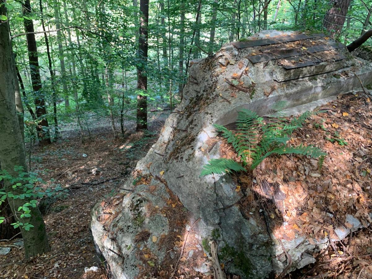 Agroturystyka Gesiniec Stare Osieczno Buitenkant foto