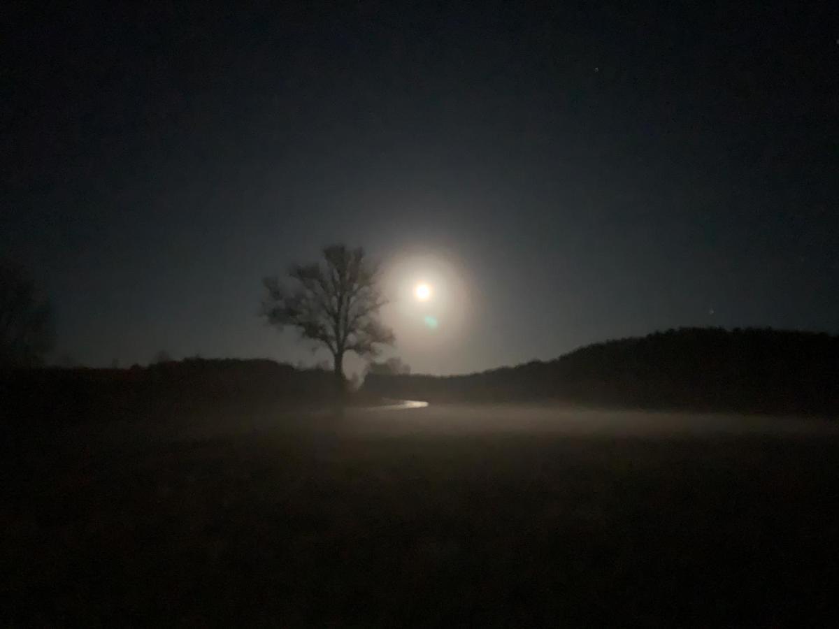 Agroturystyka Gesiniec Stare Osieczno Buitenkant foto