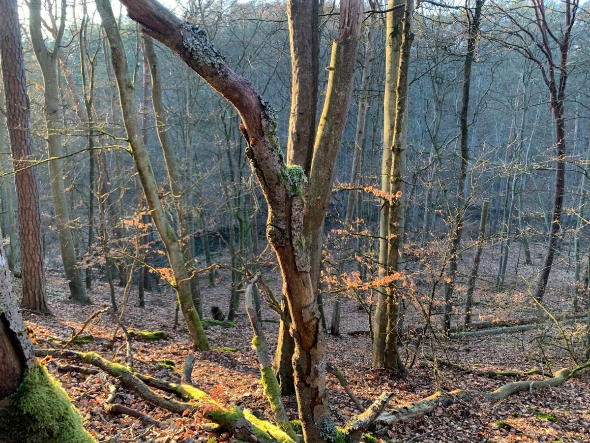 Agroturystyka Gesiniec Stare Osieczno Buitenkant foto